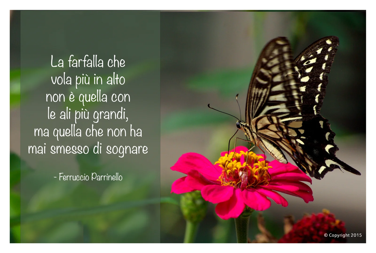 Aforisma di Ferruccio Parrinello