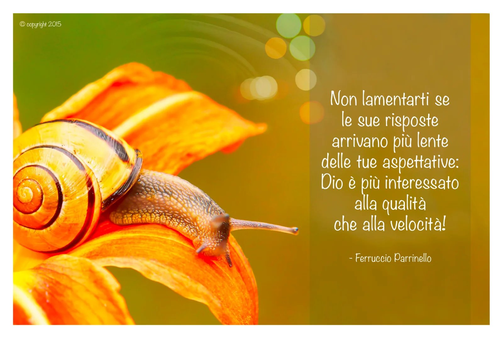 Aforisma di Ferruccio Parrinello