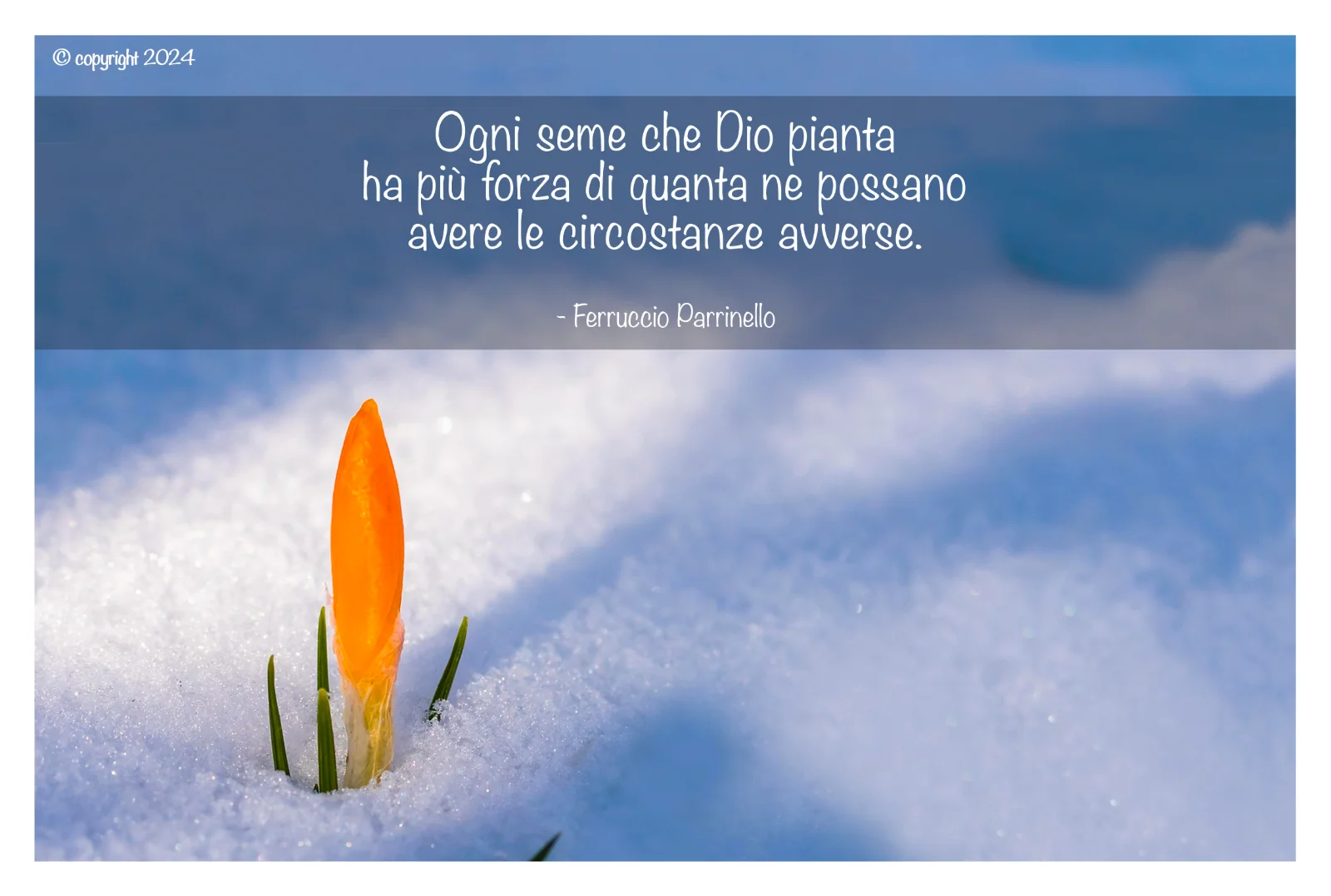 Aforisma di Ferruccio Parrinello