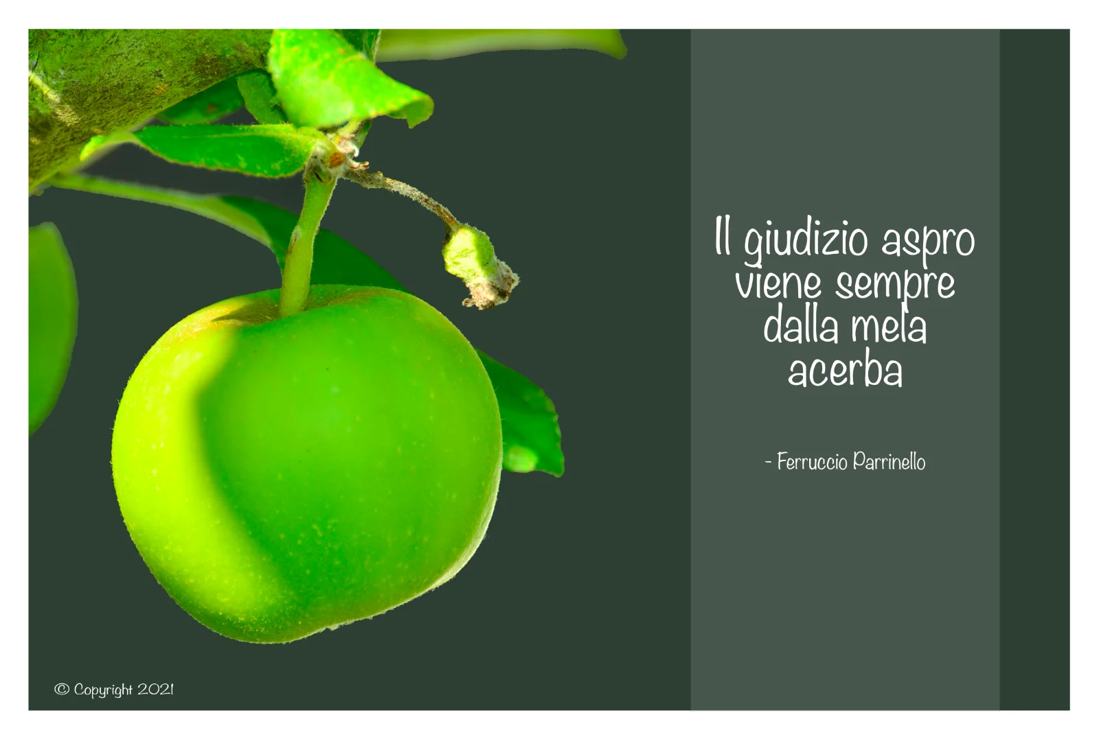 Aforisma di Ferruccio Parrinello