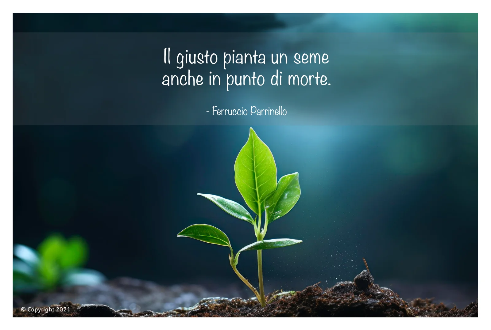 Aforisma di Ferruccio Parrinello