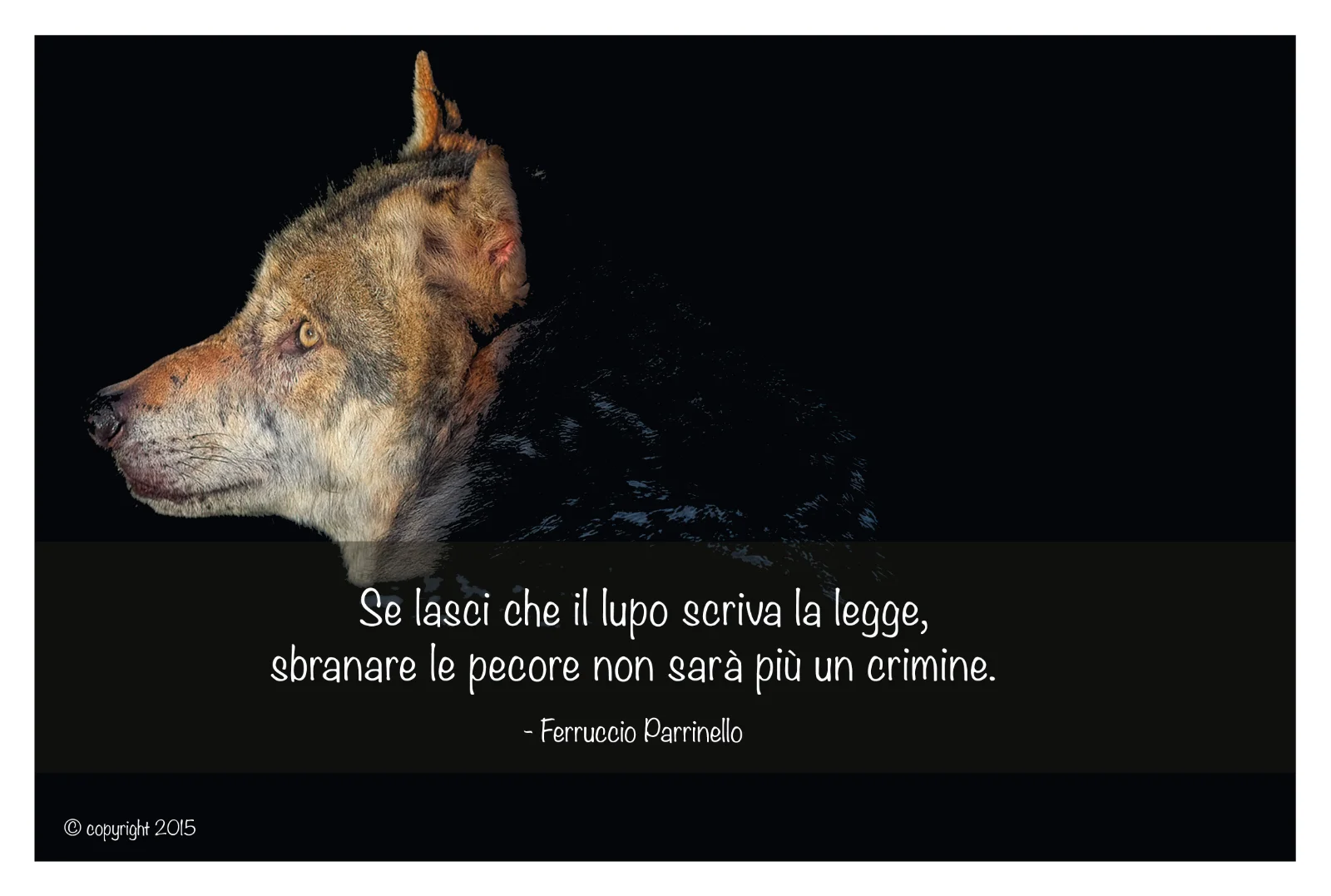 Aforisma di Ferruccio Parrinello