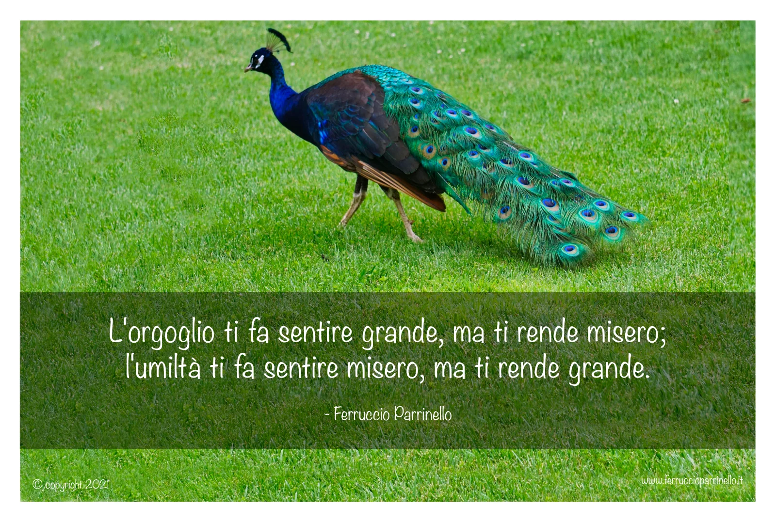 Aforisma di Ferruccio Parrinello