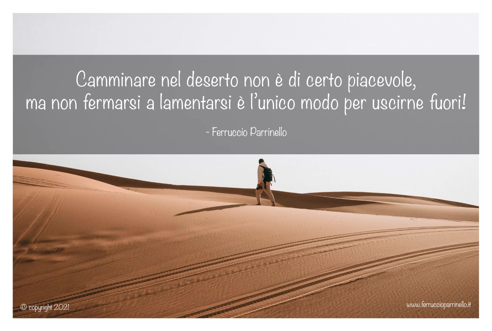 Aforisma di Ferruccio Parrinello