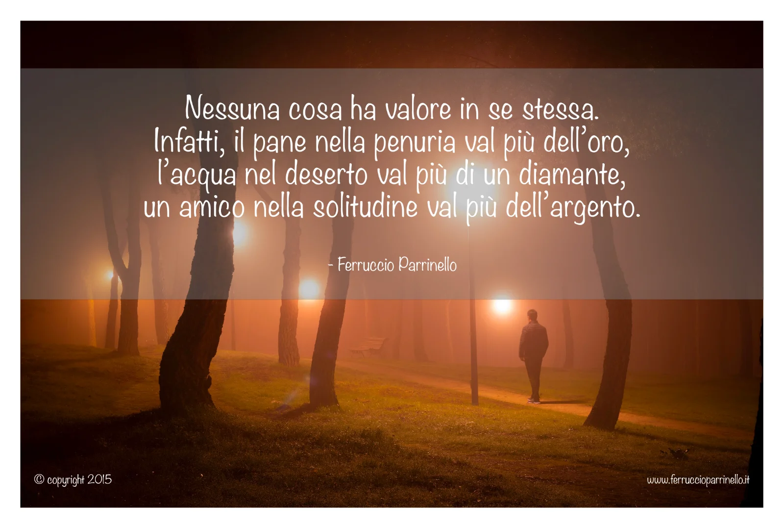 Aforisma di Ferruccio Parrinello