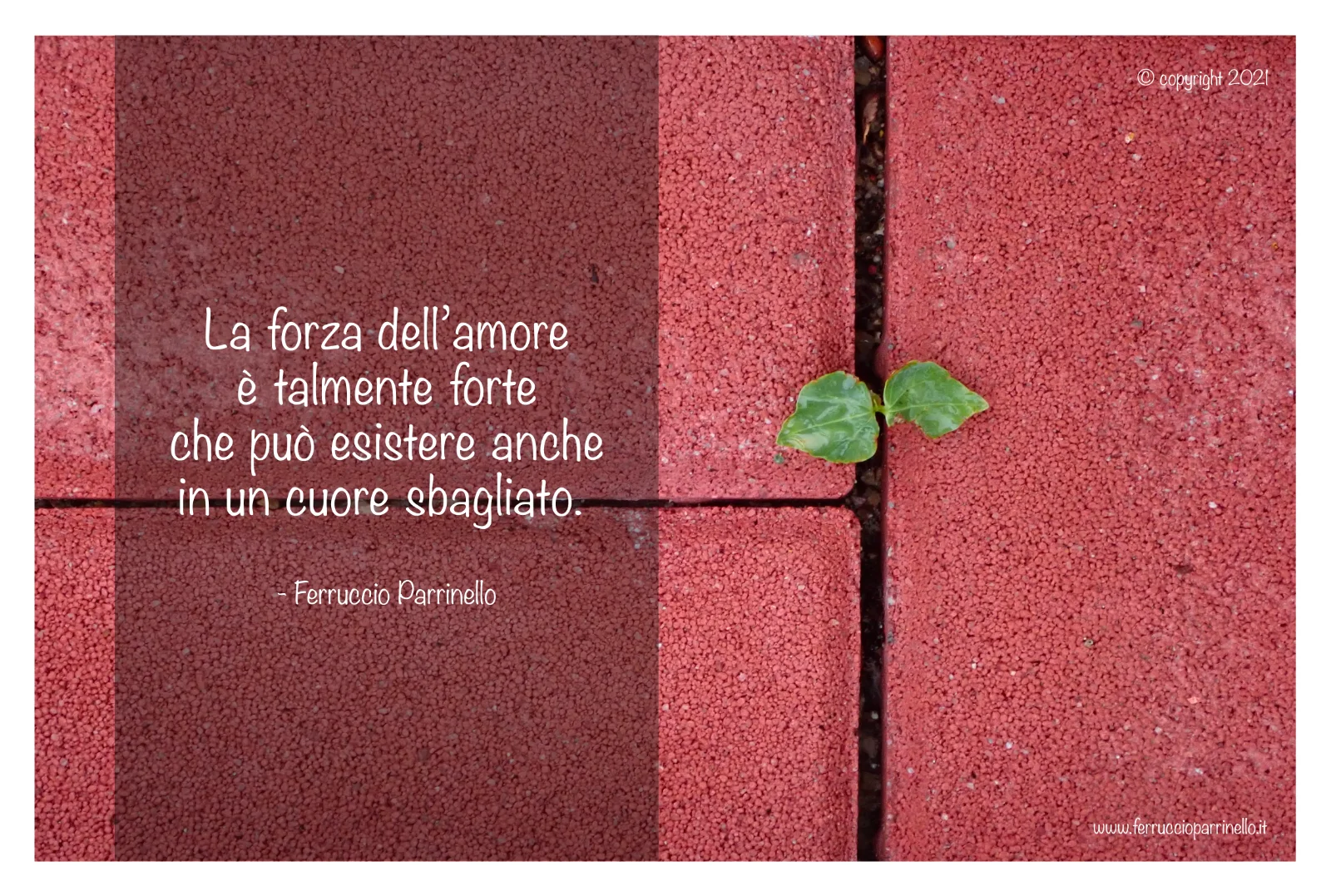 Aforisma di Ferruccio Parrinello