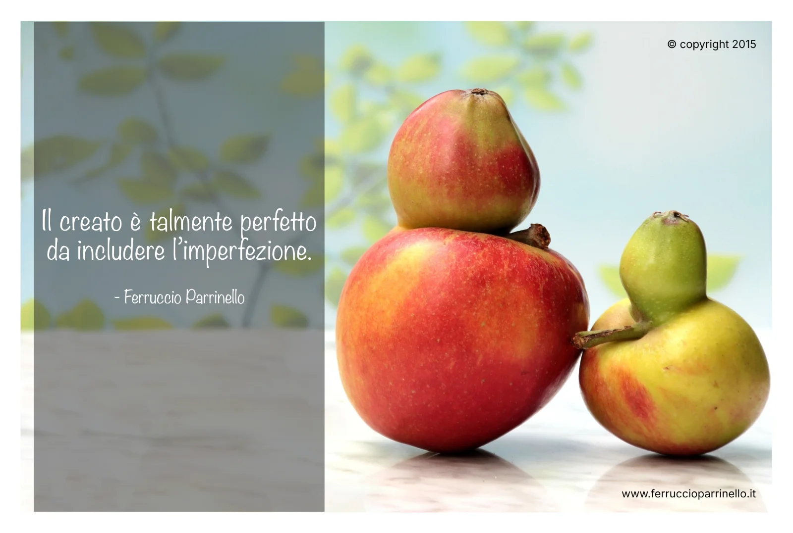 Aforisma di Ferruccio Parrinello