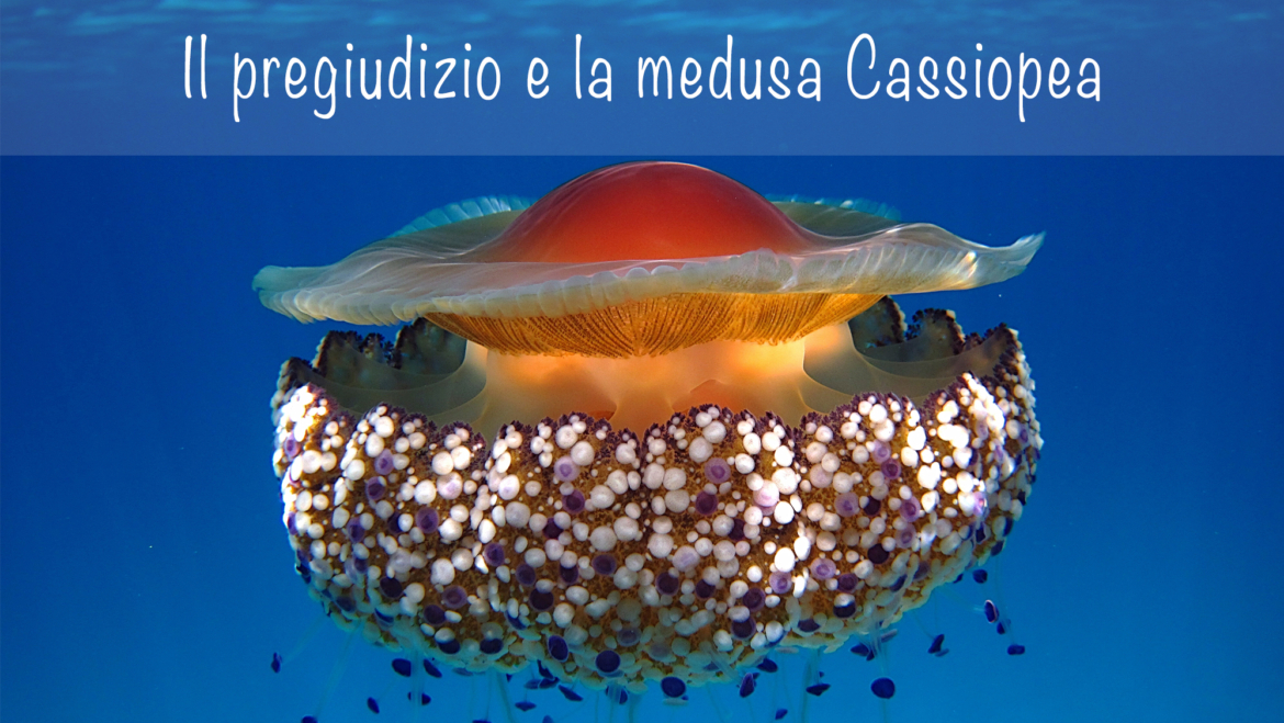 Il pregiudizio e la medusa Cassiopea
